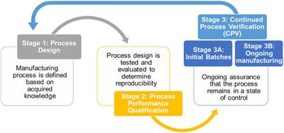 Continuous Process Verification 4.0 application in upstream: adaptiveness implementation managed by AI in the hypoxic bioprocess of the Pichia pastoris cell factory